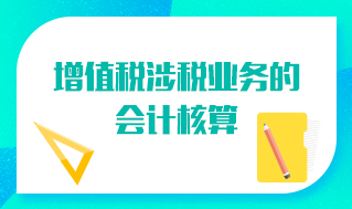 增值税涉税业务的会计核算